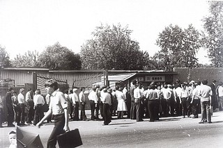 Вот она — очередь за пивом.