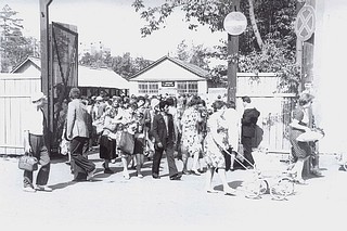 Одинцовский рынок