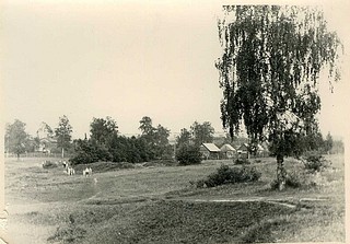 Со стороны клубничного поля, мимо дачного поселка тропинкой из леса. Конец 60-х. 