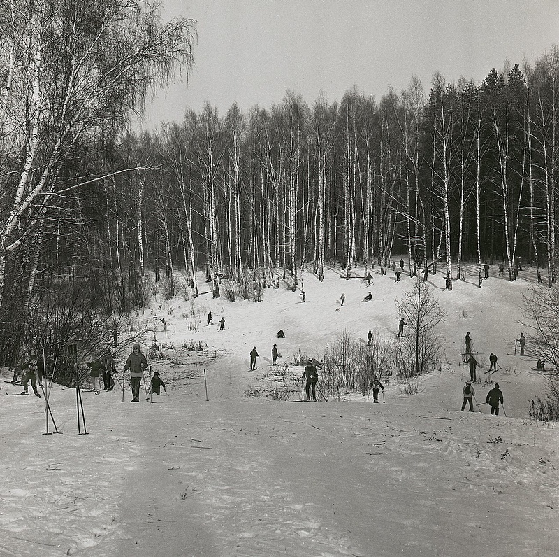 На горке в Подушкинском лесу.80-е годы, Одинцово ретро, bodelk