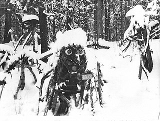 Овраг лесных диковин. 1979 год.