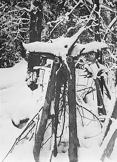 Овраг лесных диковин. 1979 год.