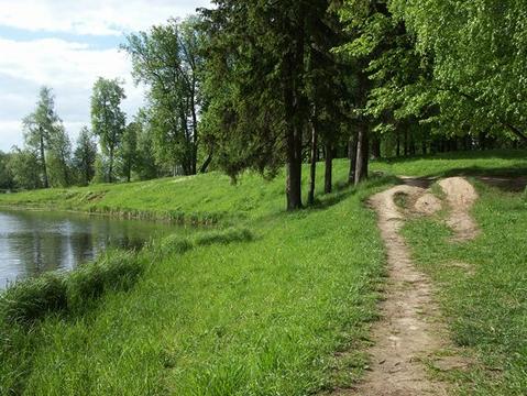 Парк музея-заповедника в Захарово, Захарово, Волшебные места, пейзажи, захаровский пруд