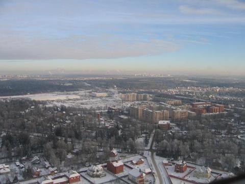 Фото дубки внииссок