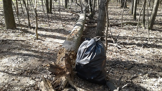 Уборка мусора в 8-м микрорайоне Одинцово, Последствия отдыха на природе